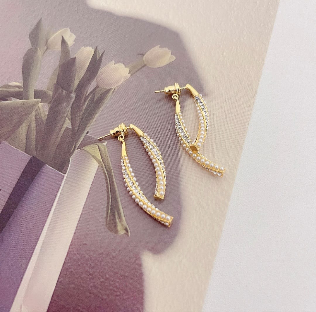 Delicate Back Drop Earrings